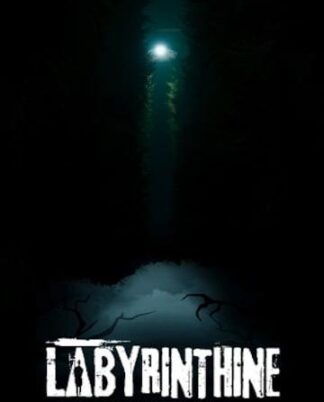 labyrinthine-pc-steam-gift-global-jpg
