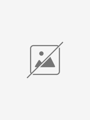warframe-banshee-prime-accessories-pack-steam-key-global-jpg