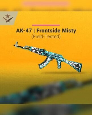 ak-47-frontside-misty-field-tested-key-global-jpg