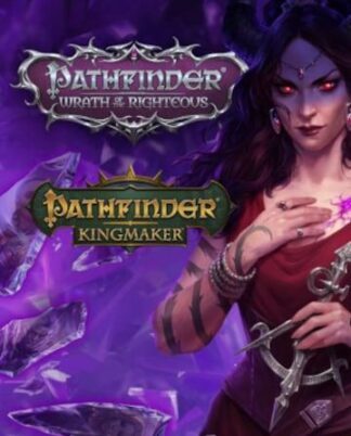 Pathfinder-Collectors-Edition-PC-Steam-Key-Global-JPG